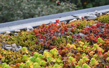 the cost of Golford green roof installation