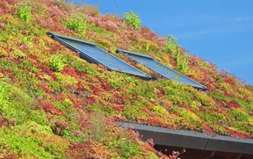 Golford living roof systems