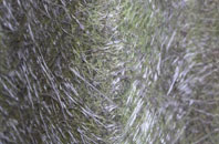 Golford fibreglass roof work